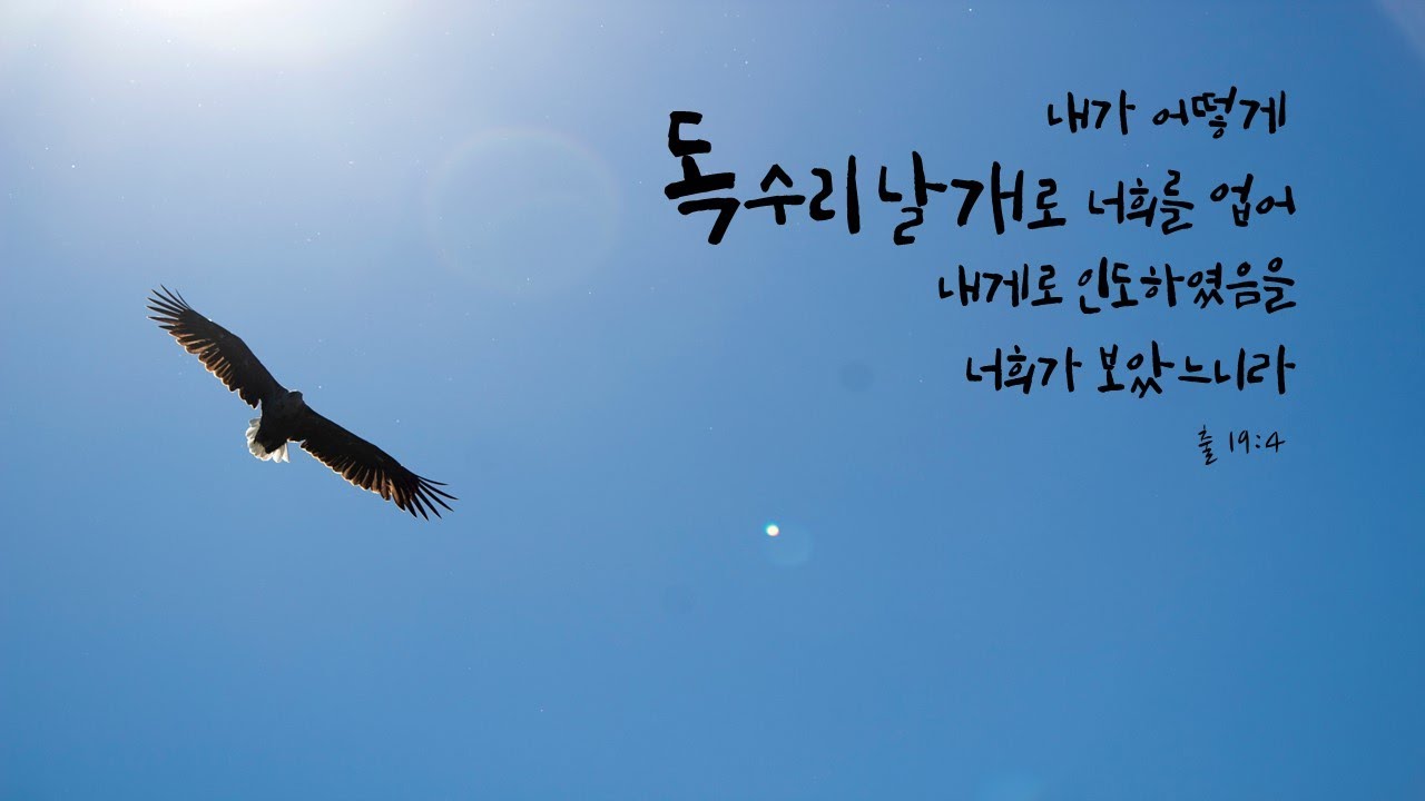 이미지1
