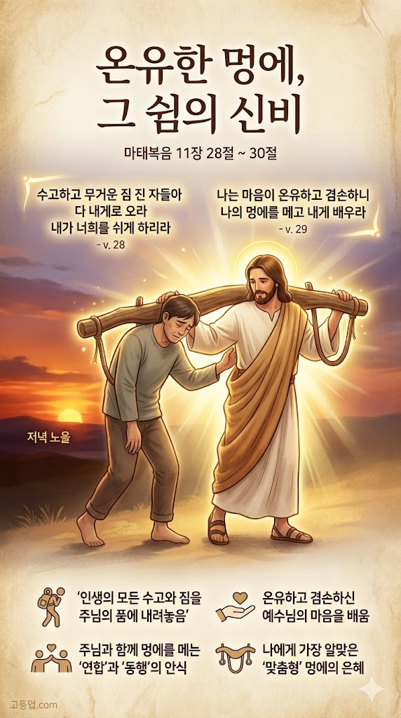 이미지1