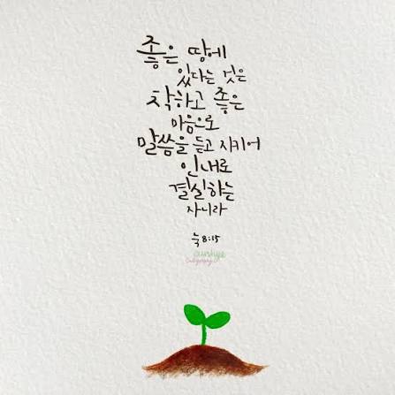 이미지1